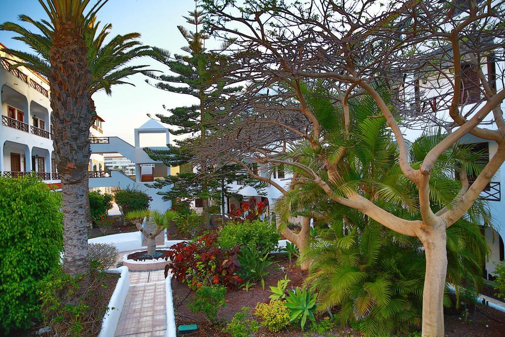 Costa Del Silencio Apartment الغرفة الصورة